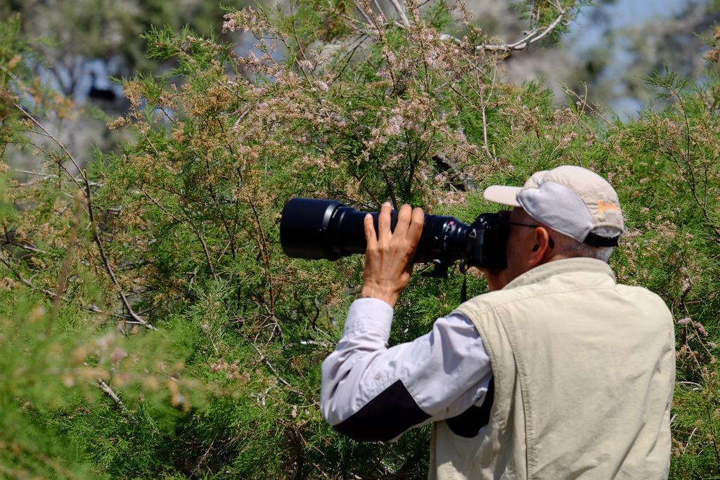 Selenes Pansiyon Kapikiri Bagian luar foto